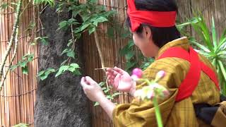 八丈島の郷土芸能　ショメ節（Intangible Fork Cultural Property）