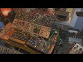 intellijel plonk rules