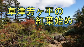 紅葉の始まった草津白根の弓ヶ池を見て渋峠から芳ヶ平に行ってきました。