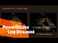 Pleural Effusion Lung Ultrasound. Perioperative & Critical Care POCUS