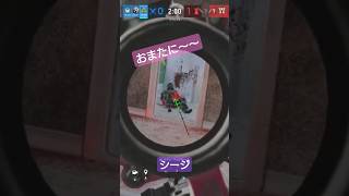 おまたに〜？#女性配信 #r6s #シージ #クイック