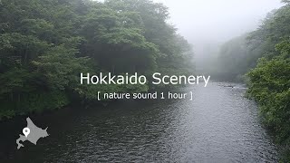 [Hokkaido Scenery] [千歳川] 川の音・鳥のさえずりを聞きながら過ごす早朝の1時間