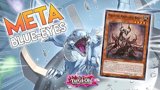 TOP TIER Blue-Eyes Primite Combos ft. NEW Support! Play Through 2-3 Hand Traps! Yu-Gi-Oh!