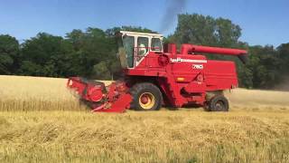 2017 Wheat Harvest (Certified Organic)...in one minute!