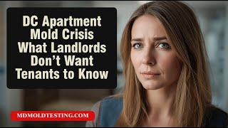 DC Apartment Mold Crisis What Landlords Don’t Want Tenants to Know
