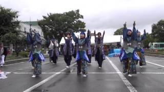 よさこいparty in 防府祭り2014 長州青組