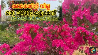 Garden,മനോഹരമായ  പൂത്തോട്ടം