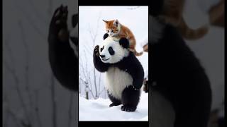 Panda bear saves kitten from cold #panda #kitten #animals