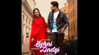 Sohni Zindagi: Sajjan Adeeb (official Audio) Singh Jeet | The Boss |