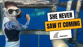 EXTREME Wedding Proposal Shark Cage Proposal to my Wife