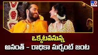 Anant Ambani and Radhika Merchant Wedding : ఒక్కటవనున్న అనంత్ - రాధికా మర్చంట్ జంట - TV9