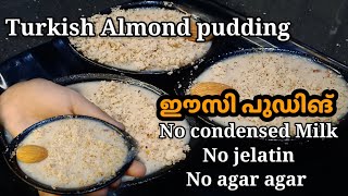 1/2 ലിറ്റർ പാലിൽ ഈസി പുഡിങ് Turkish Almond Pudding/Easy Pudding recipe/Pudding recipe in malayalam/