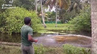 cast net fishing kerala Fishing    വല വീശൽ net fishing