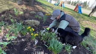 SPRING CLEANUP IN THE GARDENS (First day back for the 2026 Season)