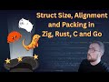 Let's talk about alignment, sizing and packing in Zig, C, Rust and... Go?