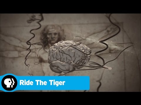 What does riding the tiger mean?