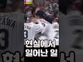 wbc 결승 관전 포인트 5가지