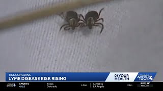 Lyme disease cases rise in Pennsylvania, local officials urge precaution