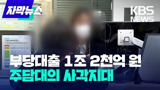 [자막뉴스] 부당 대출 1조 2천억 원…주택담보대출의 사각지대 / KBS 2023.01.12.