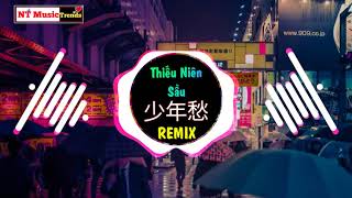 溜溜蛋 - 少年愁 (DJ沈念版) Thiếu Niên Sầu Remix Tiktok - Lưu Lưu Đản || Hot Tiktok Douyin