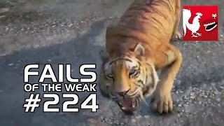 Fails of the Weak: Ep. 224 | Rooster Teeth