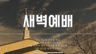 새벽기도회 (2.6.25) 실족하지 않는 복 (눅 7:18-23) 손신익 목사