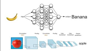 Fruit Classifier Convolutional Neural Network AI #chatgpt