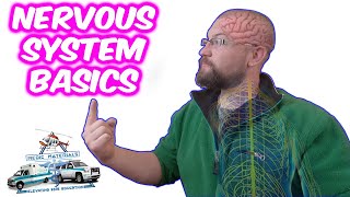 Nervous System Basics (In Under 4 Minutes) | EMT Neurology | Medic Materials |