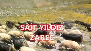 Sait Yıldız / Zarenç