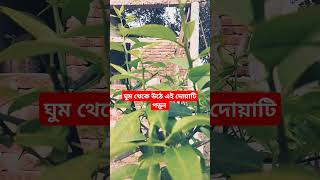 ঘুম থেকে জাগ্রত হয়ে ওযু ছাড়া এই দোয়াটি পাঠ করুন #shorts