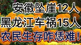 黑龙江七台河、安徽安庆连发两起惨烈车祸致27人遇难：别指责当地农民“要钱不要命”