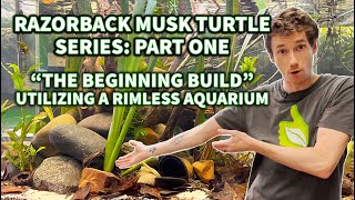 Building a Rimless Aquarium for Razorback Musk Turtles