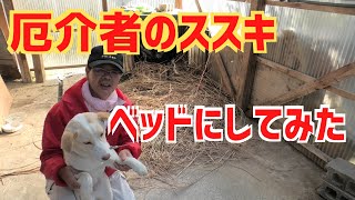 耕作放棄地のススキを再利用出来るか？