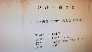 6월20일(토)조협tv 대자보잡다^^  삼계탕먹구 첫타치는사람이 거의먹습니다.(암살)