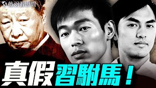 習駙馬是他？秦玥樂如何「逆襲」成為中國第一駙馬？｜薇羽看世間 20250607