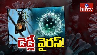 కేరళలో ప్రాణాంతక నిఫా వైరస్‌ కలకలం | Nipah Virus Alert | Telugu News | hmtv