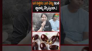 ఒక విత్తనం, ఒక చెట్టు ఇంత జ్ఞానాన్ని నేర్పిస్తుందా ! | PMC Telugu