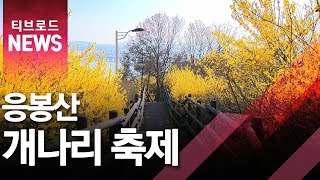 [서울]봄 향취 속 문화 향연...개나리축제 성료/티브로드