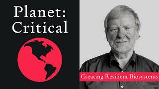 Creating Resilient Biosystems | Walter Jehne