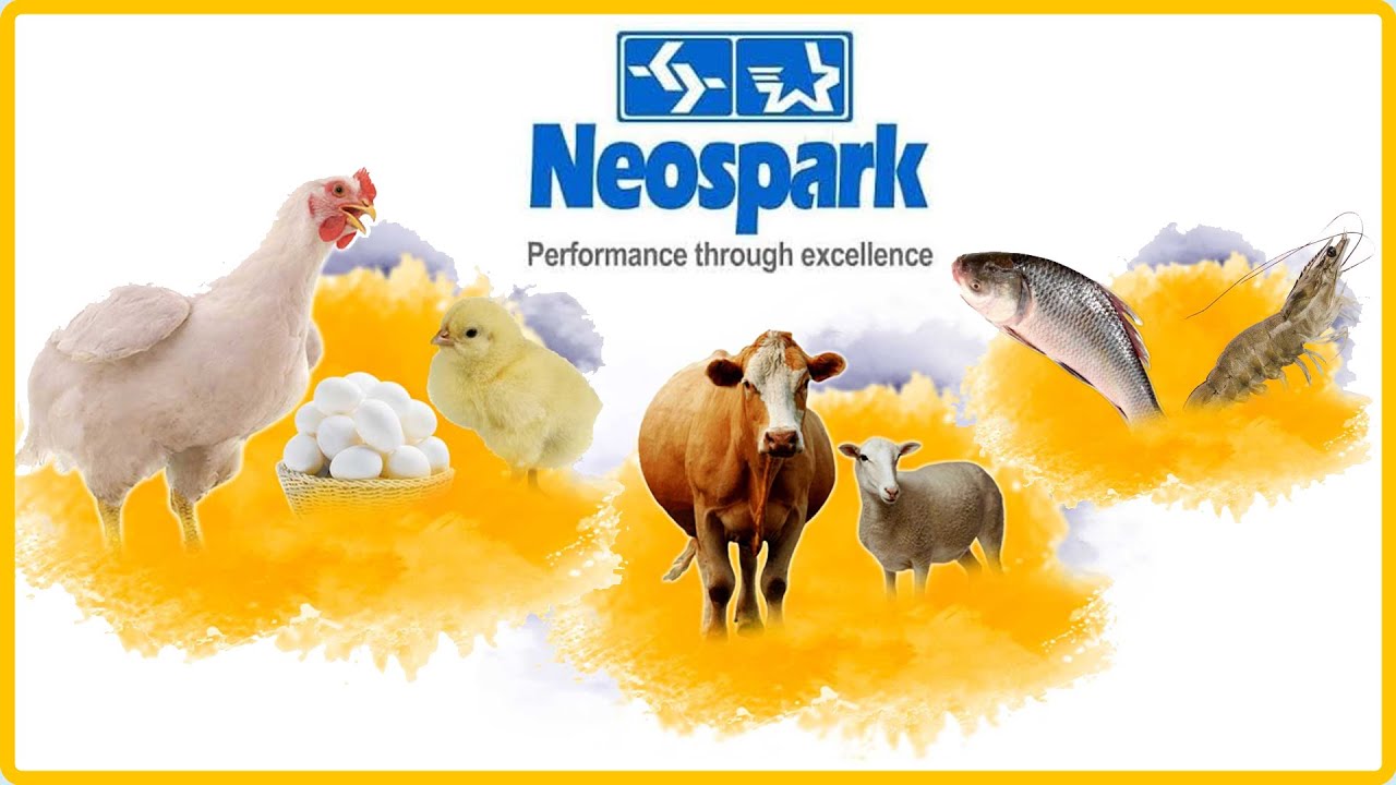 Neospark Drugs Chemical Pvt Ltd Kolkata International Poultry Fair