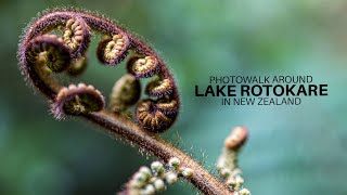 Photowalk around Lake Rotokare in Taranaki, New Zealand