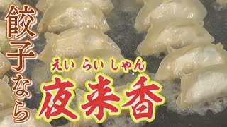 【やみつき】老舗の名物ギョーザ　コロナ禍で大ヒットの秘策！？おいしい焼き方も！【アップ！特集】