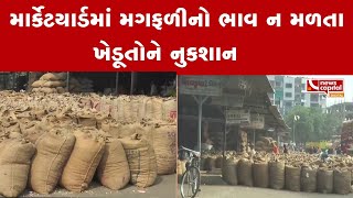 Banaskantha: જિલ્લામાં 1.70 લાખ હેક્ટરમાં થયું હતું મગફળીનું વાવેતર