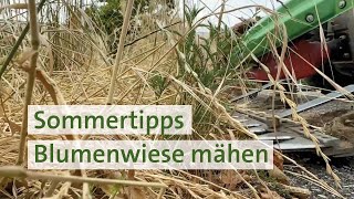 Sommertipp: Blumenwiese mähen