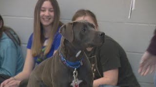 Animal shelter in southern Maine in teaches students how to be stewards