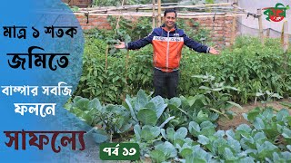 বাম্পার সাফল্যে! ১ শতক জমিতে শাক সবজি চাষাবাদে || পর্ব ১৩ || ১ম অংশ || চিত্রকুটুম কৃষি