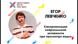 Егор Левченко о синхронизации нейрональной активности при просмотре видео / Научные бои ВШЭ