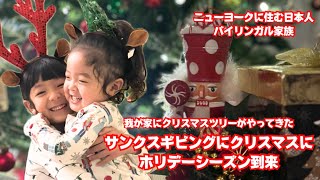 【ニューヨークに住むバイリンガル家族】クリスマスツリーを買う！サンクスギビングにクリスマスにホリデーシーズン到来。