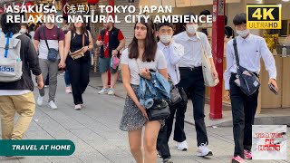 4k hdr japan travel | Walk in Asakusa（浅草）Tokyo japan |  Relaxing Natural City ambience