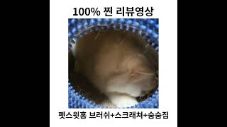 펫스윗홈 고양이 브러쉬 숨숨집💕 #cute #cutecat #pet #cat #catlover #cats #고양이숨숨집 #고양이털 #고양이 #고양이영상